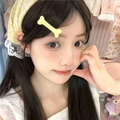 侠盗正传