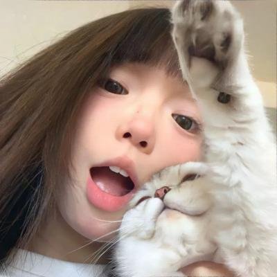 二十不惑2